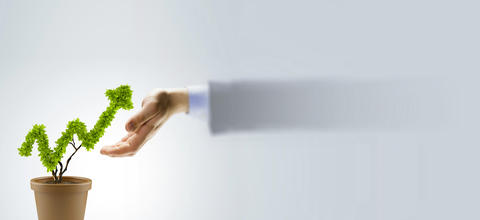 Création d'entreprise